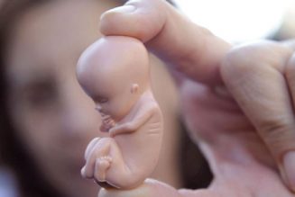 Seuls six États autorisent l’avortement à toutes les étapes de la vie d’un enfant dans l’utérus, jusqu’au stade périnatal inclus