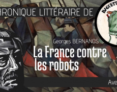 Baguette & Musette – La France contre les robots
