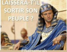 La farce de l’augmentation des lits en réanimation