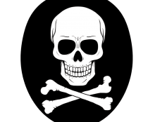 Les vautours ne perdent pas de temps