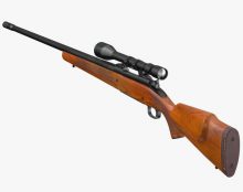 Arme confisquée : les préfets des Yvelines et du Morbihan désavoués