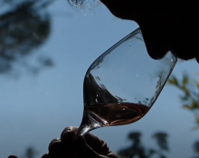 Les Rosés Caritatis : deux étoiles dans le ciel de Provence