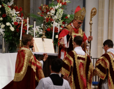 Mgr Rey : “la meilleure manière de transformer le monde passe par l’enracinement”