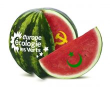 Ne manger que du tofu et des graines de quinoa en fumant des joints peut provoquer des politiques graves !