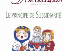 Le principe de subsidiarité