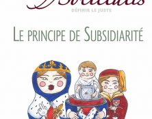 Le principe de subsidiarité