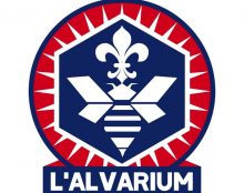 Tandis que l’extrême-gauche jouit d’une impunité totale, des militants sont persécutés