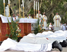 Pierre Pommeret, un prêtre marial pour la Miséricorde Divine