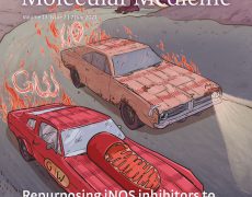 L’institut Pasteur publie une étude plaidant pour l’efficacité de l’ivermectine