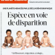 Chute de la natalité, crise démographique, dépopulation