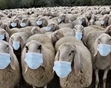 Depuis 2015, la France aura vécu plus de la moitié du temps sous l’état d’urgence