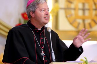 Traditionis Custodes : un évêque néerlandais dénonce un oukase