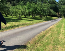 Anecdote : d’où vient le “kabig”, cet habit monastique de la congrégation de Subiaco ? [Add.]