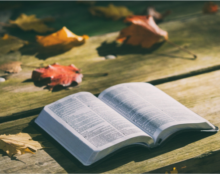 7 versets de psaumes pour la journée