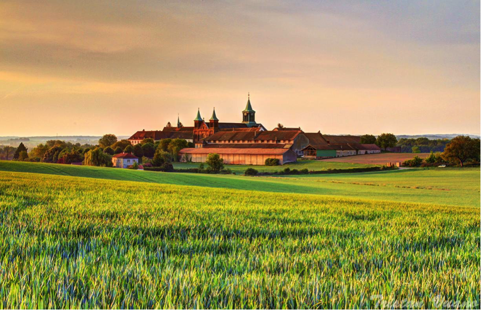 Farine Pâtissière T45 - La boutique de l'abbaye d'Oelenberg