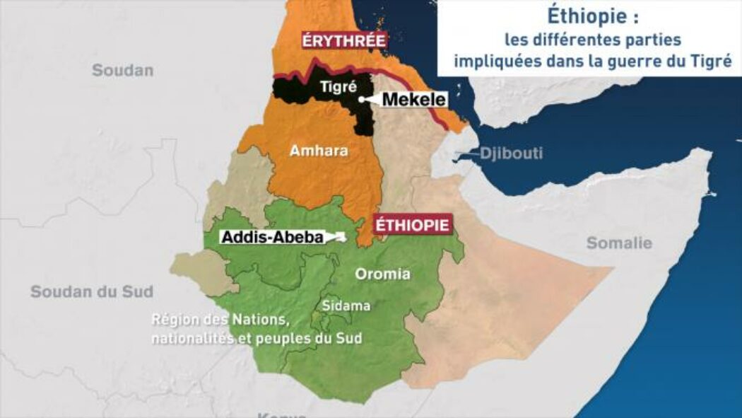 Conférence au Parlement européen sur la guerre du Tigré en Éthiopie