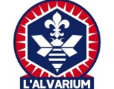 Emeutes à Alençon…, Darmanin engage une procédure de dissolution de l’Alvarium