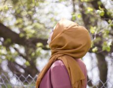 El-Azhar face à la question des fatwas