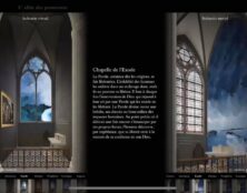 Notre-Dame de Paris : vers un massacre de la cathédrale ?