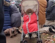Messe traditionnelle à Saint-Germain-en-Laye