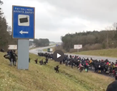 Invasion migratoire