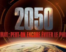 Eco-anxiété et suicide démographique