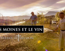 Terres de Mission : le synode sur la synodalité