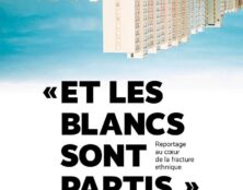 Grand remplacement : « Dans certains collèges, il n’y a plus d’enfants blancs »