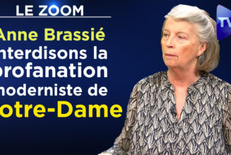 Anne Brassié : Interdisons la profanation moderniste de Notre-Dame