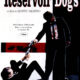 Ambiance “Reservoir Dogs” chez LR