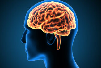 Un implant cérébral sur des humains