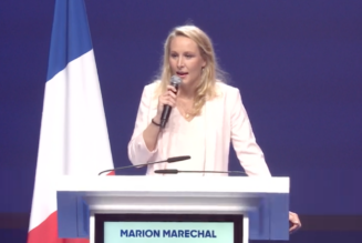 Marion Maréchal : ” j’ai pris la décision de soutenir Éric Zemmour pour l’élection présidentielle”