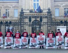 Action contre la promotion de la vente d’enfants à Paris