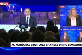 Marion Maréchal : “Si nous continuons sur cette courbe, en 2060, le peuple historique, les natifs, seront minoritaires sur le sol français, nous pourrions avoir une France africaine”