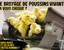 Et si on se préoccupait d’abord du statut de l’embryon humain ?