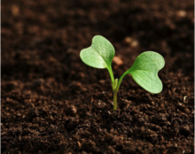 Donnez du sens à votre épargne en contribuant à la transition agroécologique avec ELOI