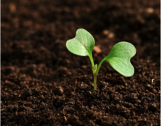 Donnez du sens à votre épargne en contribuant à la transition agroécologique avec ELOI