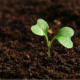 Donnez du sens à votre épargne en contribuant à la transition agroécologique avec ELOI