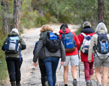 Entretien avec Catherine, mère de prêtre