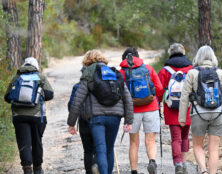 Entretien avec Catherine, mère de prêtre