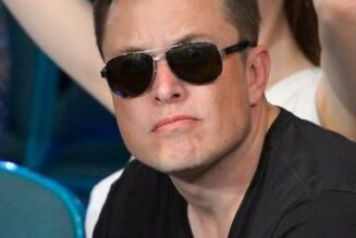 Elon Musk contre le virus woke