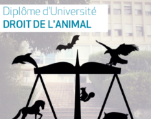 Ils adoreront les bêtes