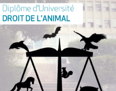 Ils adoreront les bêtes