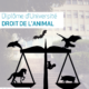 Ils adoreront les bêtes