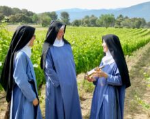 Objectif 10 000 bouteilles de rosé “Exsulta” pour planter 1,5ha de vignes à l’abbaye de Jouques