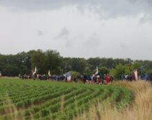 « Nous sommes des catholiques ordinaires voulant pratiquer la forme extraordinaire »