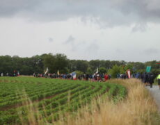 Gardiens de la Tradition
