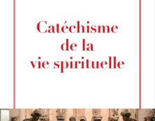 Cardinal Sarah : “J’ai été très touché de voir de jeunes Français se mobiliser pour réclamer la messe”