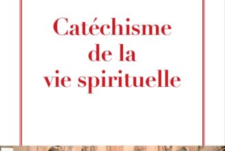 Cardinal Sarah : “J’ai été très touché de voir de jeunes Français se mobiliser pour réclamer la messe”
