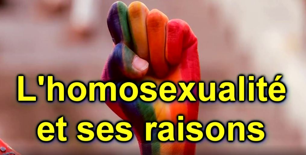 L’homosexualité, ses raisons